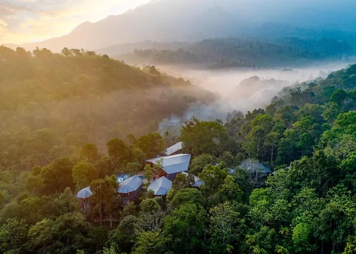 Vyna Hillock Resort And Spa